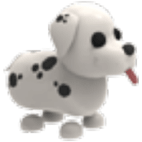 Ahhh! Flying Pet!